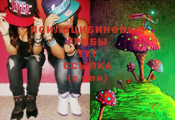 мескалин Няндома