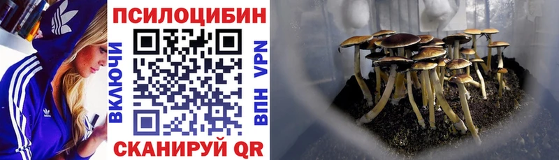 купить наркотик  Череповец  Галлюциногенные грибы прущие грибы 