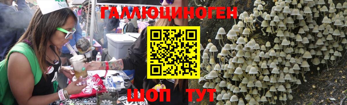 Галлюциногенные грибы Psilocybe  Галлюциногенные грибы прущие грибы  Череповец  Вход с VPN 