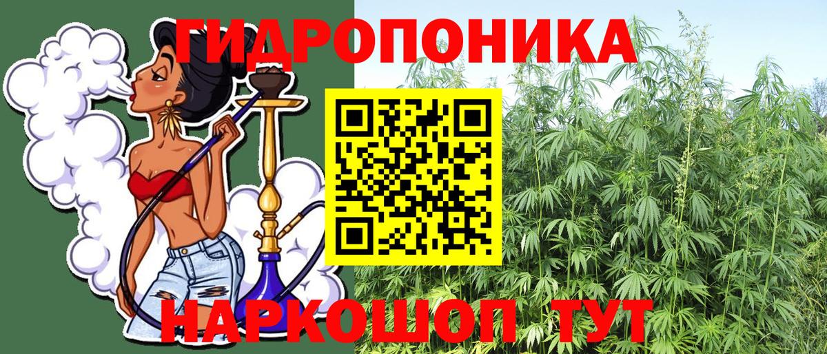 Канабис конопля Череповец